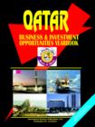 Image for Qatar Business and Investment Opportunities Yearbook