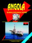 Image for Angola Business Intelligence Report