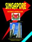 Image for Singapore Investment &amp; Business Guide