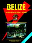 Image for Belize Business Intelligence Report