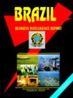 Image for Brazil Business Intelligence Report