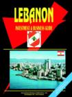 Image for Lebanon Investment and Business Guide
