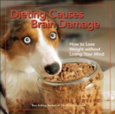 Image for Dieting Causes Brain Damage