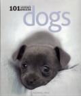Image for Dogs: 101 Adorable Breeds