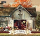 Image for AMERICAN DREAM DELUXE CALENDAR 2017