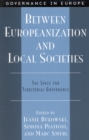 Image for Between Europeanization and local societies  : the space for territorial governance