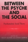 Image for Between the psyche and the social  : psychoanalytic social theory