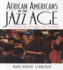 Image for African Americans in the Jazz Age : A Decade of Struggle and Promise