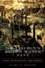Image for Mr. Lincoln&#39;s Brown Water Navy