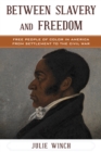 Image for Between slavery and freedom  : free people of color in America from settlement to the Civil War