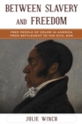 Image for Between slavery and freedom: free people of color in America from settlement to the Civil War
