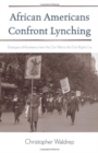 Image for African Americans Confront Lynching