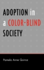 Image for Adoption in a Color-Blind Society