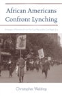Image for African Americans Confront Lynching: Strategies of Resistance from the Civil War to the Civil Rights Era