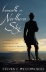 Image for Beneath a Northern Sky: A Short History of the Gettysburg Campaign