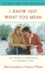 Image for I Know Just What You Mean : The Power of Friendship in Women&#39;s Lives