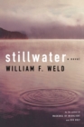 Image for Stillwater: a novel