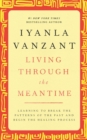 Image for Living Through The Meantime: Learning To Break The Patterns Of The Past And Begin The Healing Process