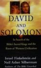 Image for David and Solomon  : in search of the Bible&#39;s sacred kings and the roots of the Western tradition