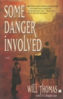 Image for Some Danger Involved : A Novel