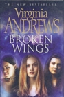 Image for Broken wings