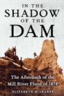 Image for In the Shadow of the Dam: The Aftermath of the Mill River Flood of 1874