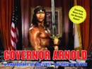 Image for Governor Arnold : A Photodiary of His First 100 Days in Office