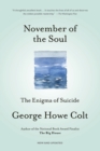 Image for November of the Soul : The Enigma of Suicide