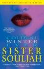 Image for The coldest winter ever  : a novel