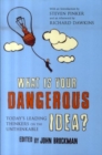 Image for What is your dangerous idea?  : today&#39;s leading thinkers on the unthinkable