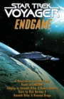 Image for Endgame