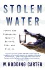 Image for Stolen Water : Saving the Everglades from Its Friends, Foes, and Florida