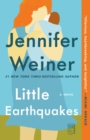 Image for Little Earthquakes: A Novel