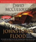 Image for The Johnstown Flood