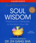 Image for Soul wisdom  : practical soul treasures to transform your life