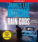 Image for Rain Gods : A Novel