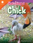 Image for Hatching a chick