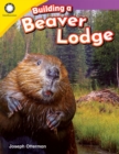 Image for Building a beaver lodge: simple meals, expert advice