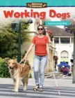 Image for Working dogs: summarizing data