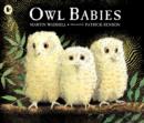 Image for Owl Babies