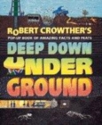Image for Robert Crowther&#39;s deep down under ground  : pop-up book of amazing facts and feats