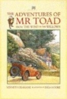 Image for The adventures of Toad