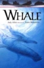 Image for Whale