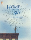 Image for Home in the Sky