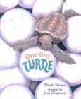 Image for One Tiny Turtle