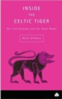Image for Inside the Celtic tiger  : the Irish economy and the Asian model