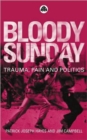 Image for Bloody Sunday  : trauma, pain &amp; politics