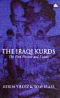 Image for The Iraqi Kurds  : the past, present and future