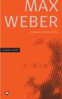 Image for Max Weber  : a critical introduction