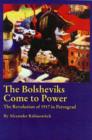 Image for The Bolsheviks come to power  : the revolution of 1917 in Petrograd